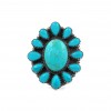 Turquoise Ring RING-1506