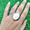 Shiva Eye Shell Ring RING-1511